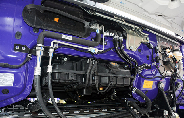 a719c0m9wmi.jpg